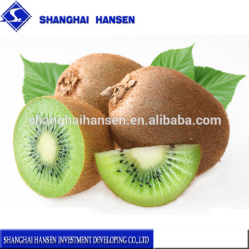 Fresh kiwi fruit import agency service import fruit foreign trade agency