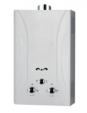 2016 Home Appliance Gas water instant heater
