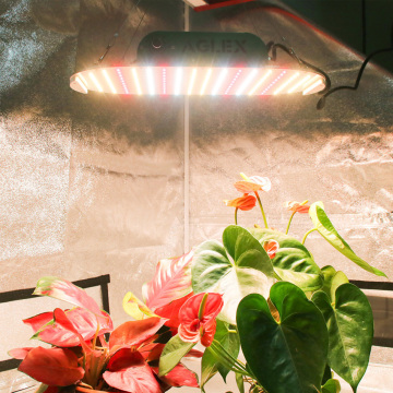 660 нм красный светодиод для выращивания растений с лучшим спектром