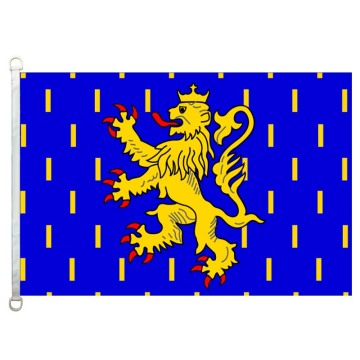 Franche-Comté झंडा 90*150cm 100% पॉलीस्टर