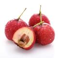 Hawthorn extract Flavones 5%