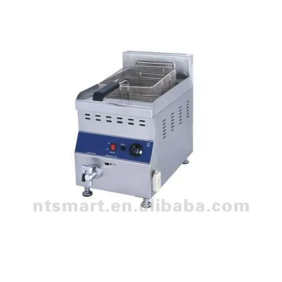 Mini Gas Fryer
