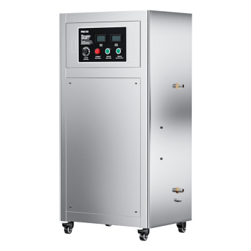 Generator de ozon de 50 g pentru tratarea apei din piscine