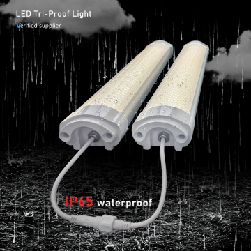 Factory Direct Aluminiumkörper wasserdichte IP65 Oberflächenmontierte dreifache LED-LED-LED-Licht