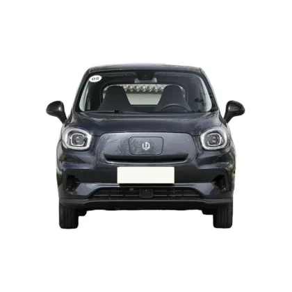 2023 Cheapest Leap Motor T03 5 Door Mini EV Electric Car