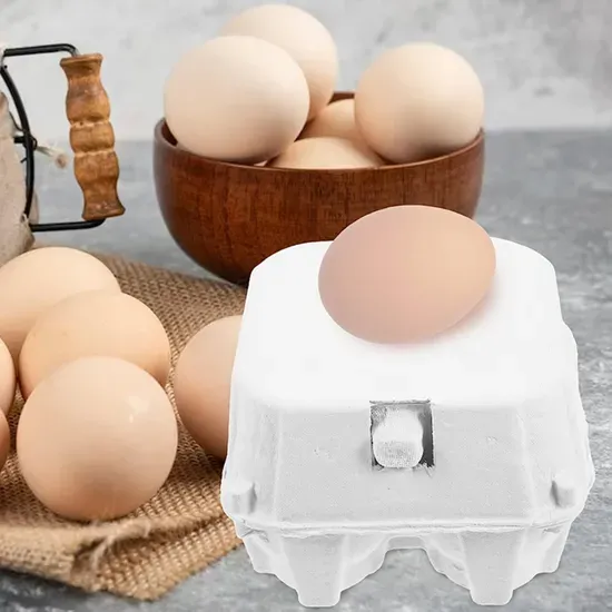 Recycled Cardboard Egg Cartons 12 Cells