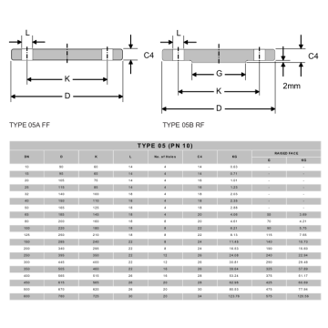 NFE29203 Blind Flange FF/RF