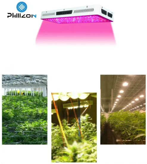 Flowering LED Plant Grow Light