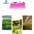 Bloeiende LED-installatie Grow Light