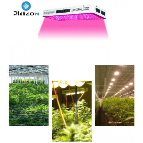 La pianta del LED in fiore cresce la luce