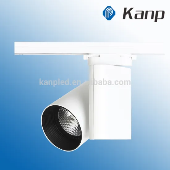 20W DALI 2700K Shop White Housing Led COB Track Lighting