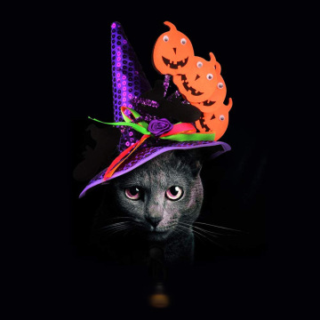 Funny Pet Halloween Costume Headwear: Dog & Cat Hats