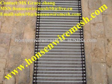 High Quality Conveyer belt mesh ( 15 years factory)
