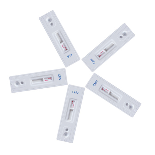 Schnelles diagnostisches CMV -Cytomegalovirus -Testkit