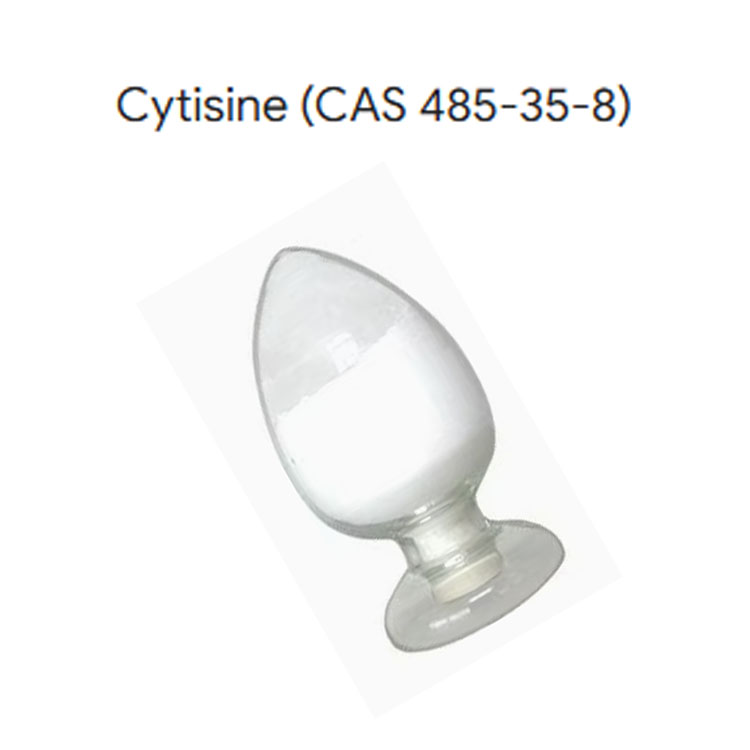 Cytisine Powder Natural Plant Extract CAS 485-35-8