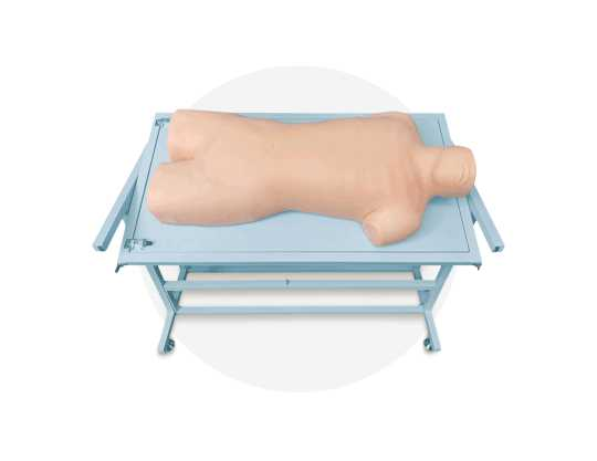 Comprehensive Puncture and Percussion Manikin