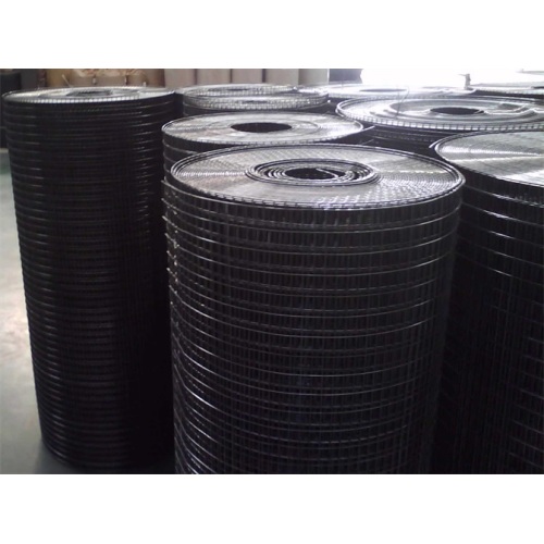 Electro Galvanized Welded Wire Mesh Black Wire Welded Wire Mesh Manufactory