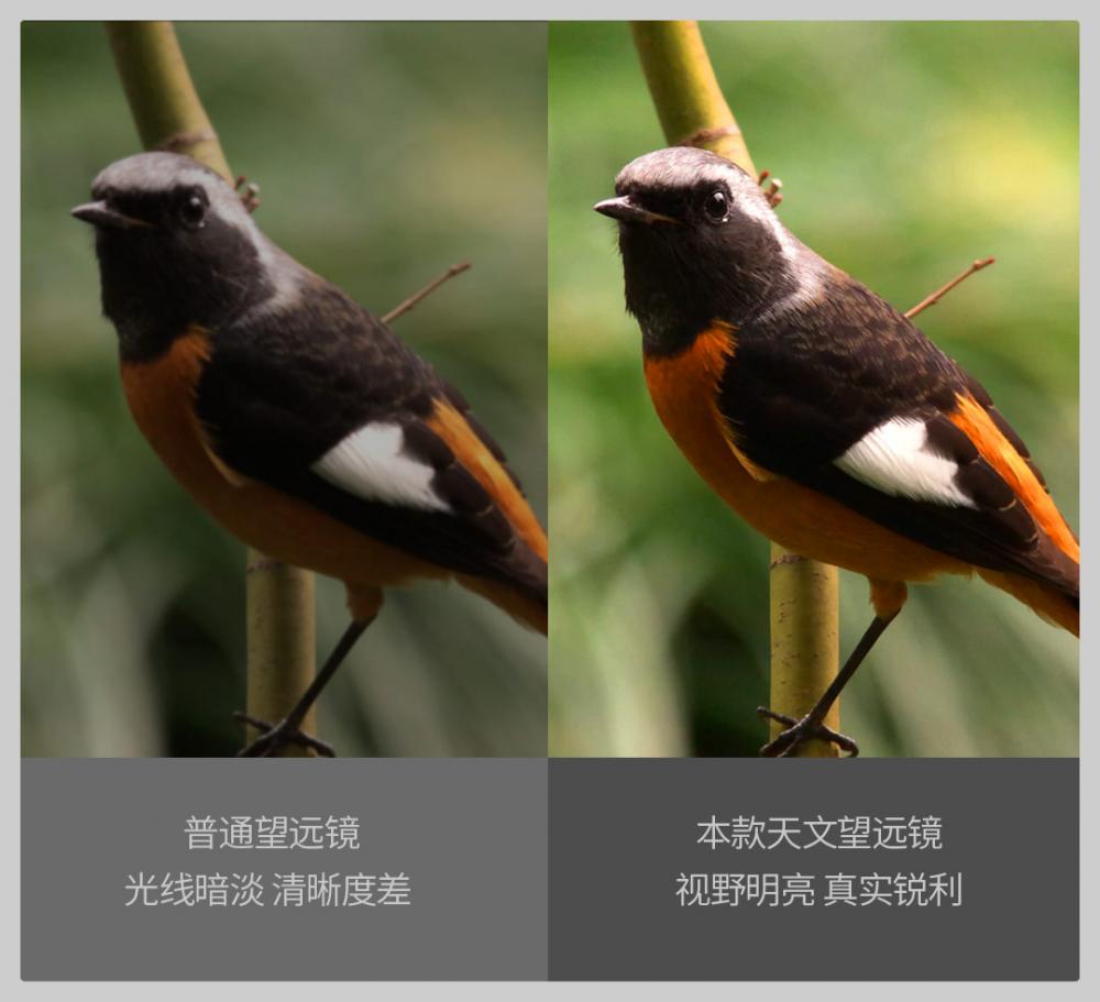 Celestron 우주 망원경 Sctw-70., Bossgoo.com의 고품질 Celestron 우주 망원경 Sctw-70.