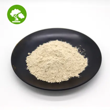 Weight Loss HCA 60% Garcinia Cambogia Extract