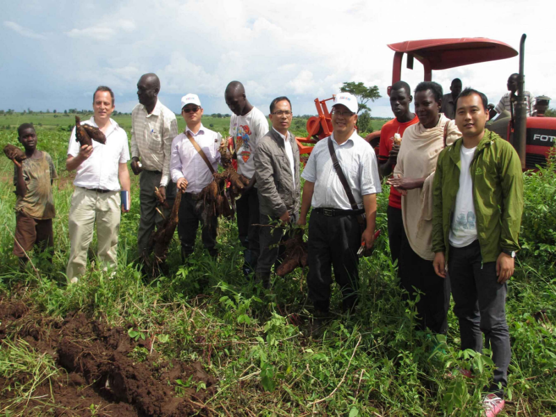 2AMSU planteur  de manioc tagrm.