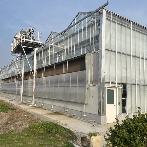 Premium Traditional Venlo Glass Greenhouse