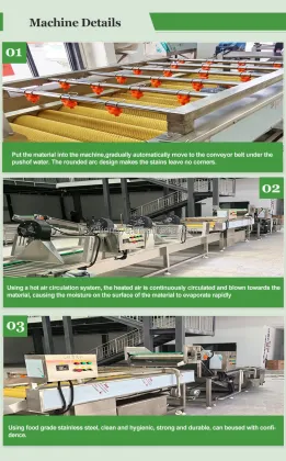 Fruit and Vegetable Cleaning Machine: Segmented Bubble Cleaning Equipment