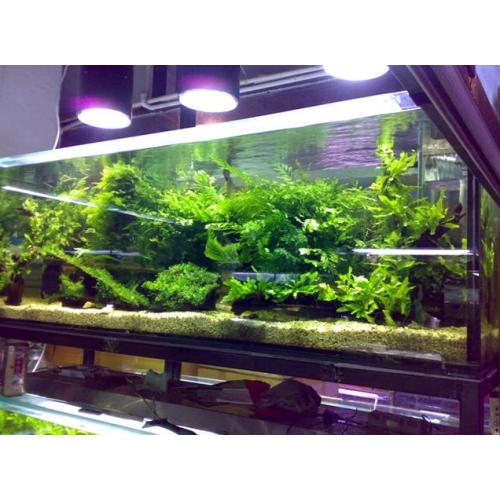 Grote acryl aquariumtank rigide acrylblad