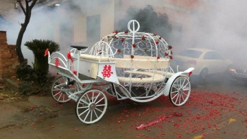 Amusment park electric horse vehicle | Electric Cinderella horse carriage