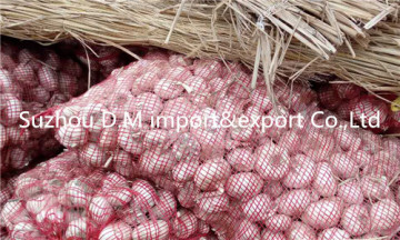 Packing garlic in mesh bag