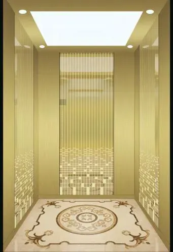 High-Speed Room-Less Passenger Elevator with Low Noise and Affordable Hoist Construction Machinery