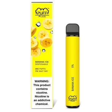 Disposable vape Puff plus 800 Cool Mint flavor