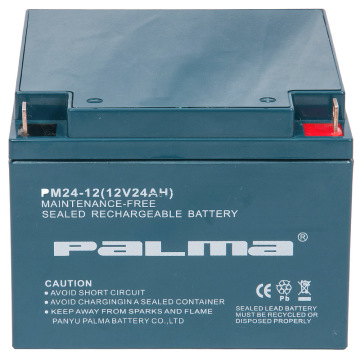 SLA Battery (PM24-12)