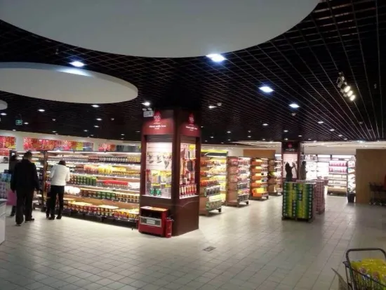 Mordern design 10* 30*0.2 mm aluminum grid open ceiling design