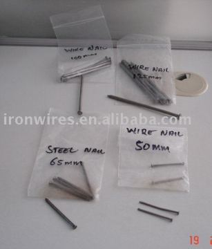 Common Iron Nail