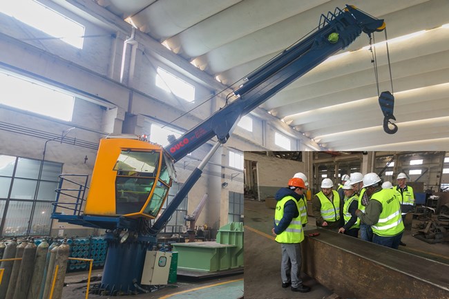 0.85T31M-Telescopic boom crane