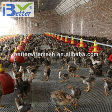 BT factory chicken coop for broiler chicken