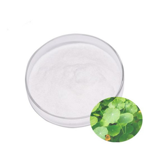 Asiaticoside for Moisturizing Raw Materials