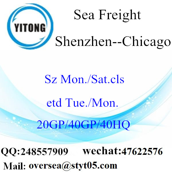 ميناء شنتشن الشحن البحري الشحن إلى شيكاغو
