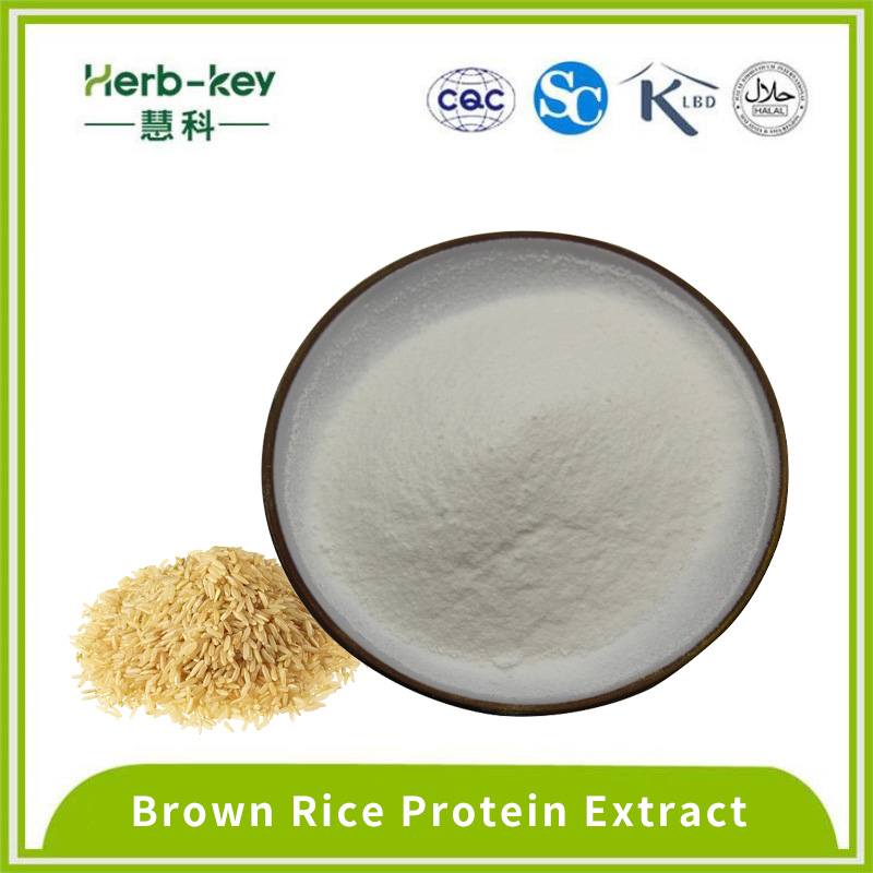 Легкий усваиваемый коричневый рисовый порошок протеина 10: 1