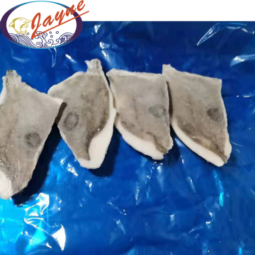 Good Taste Frozen John Dory Fish Fillet With Low Price