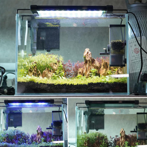 Pencahayaan tangki ikan akuarium LED untuk air tawar