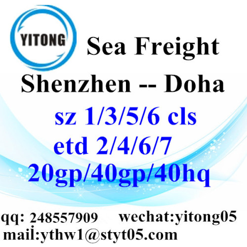 Agente de logística do transporte marítimo de Shenzhen para Doha