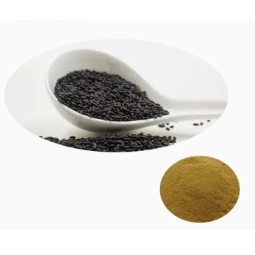 Estratto di semi di sesamo nero naturale sesamina 98% in polvere