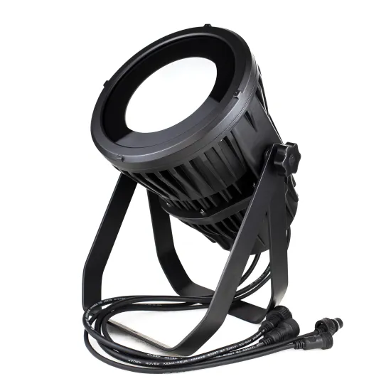 Waterproof High Performance 100W 4in1 DMX512 COB PAR Light for DJ and Stage Concerts