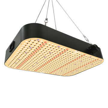 Top Selling Dimmable Full Spectrum Waterproof Grow Lights 65W 80W 130W for Indoor Plants & Flowers