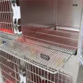 Modern Pet ICU Oxygen Cage with Therapeutic Lighting