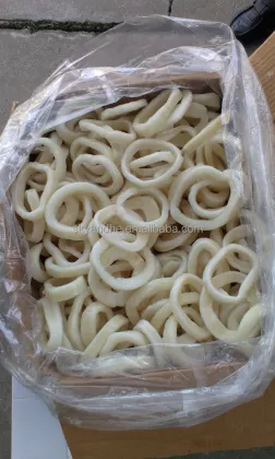 frozen flying squid ring