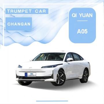 Changan Qiyuan A05 70 Edition 이상