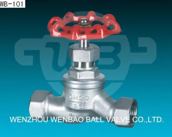stainless steel globe valve S Type