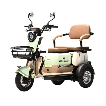 600W Electric Motorcycle: 48V 20A Max Range 50km Electric Tricycle
